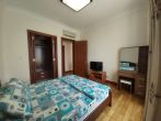 The Manor for rent furnished 1-bedroom apartment, 60 sqm thumbnail