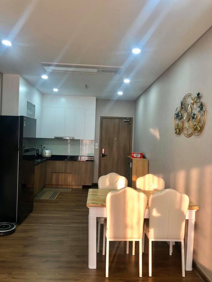 Nice Saigon Pearl apartment with brand-new furnished for rent