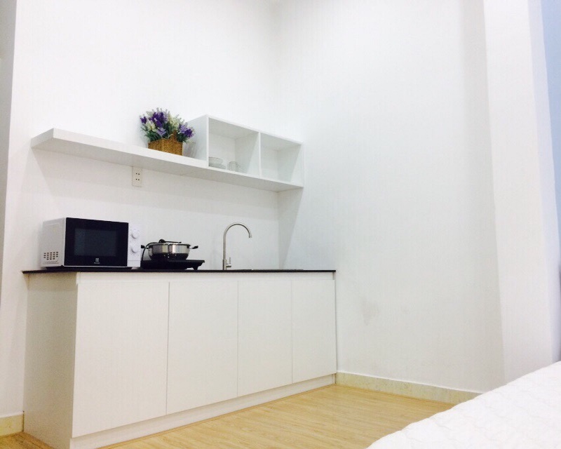 Apartment for rent right in Downtown, Ly Tu Trong street district 1