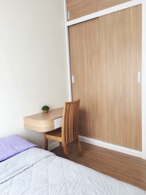 Thao Dien area apartment for rent full furniture