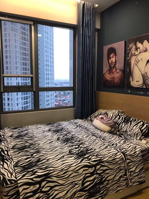 Apartment for rent Thao Dien area, river view