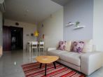 Apartment for rent convenient to go to the center district 1 thumbnail