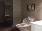 Duplex apartment at Thao Dien area low floor, garden, balcony thumbnail