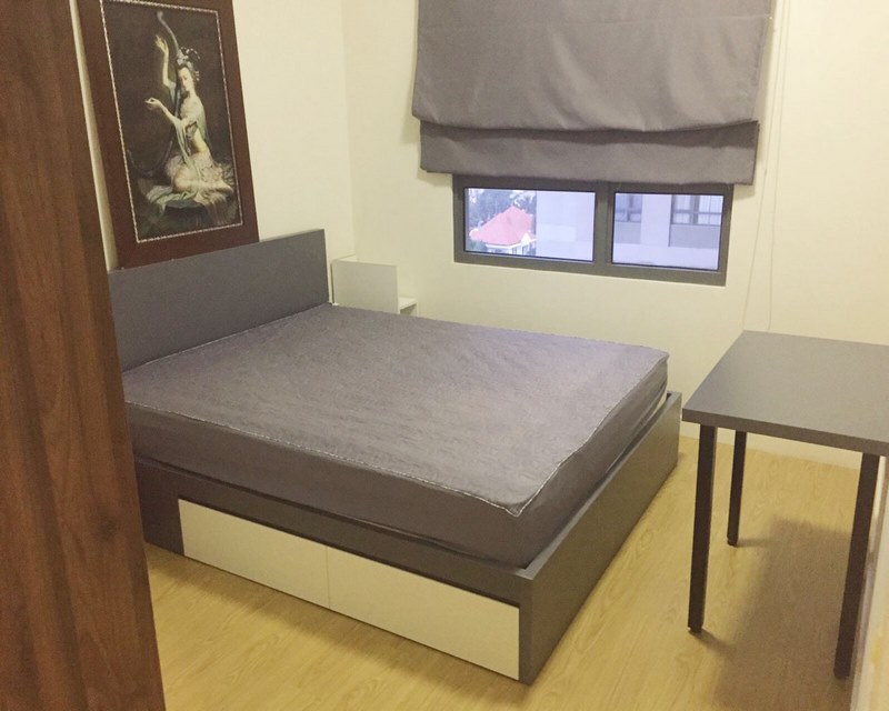 Apartment for rent Thao Dien area, expat community